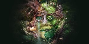 Bog Witch