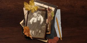The Gathered Leaves