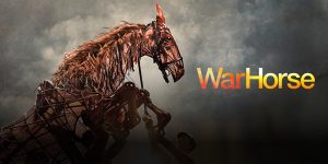 A person stands beside a horse, both facing the camera, against a blurred outdoor background.