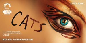 A close up image of a person's face with tribal eye make up. In the centre of a bright blue eye is a black silhouette of a person dancing in place of the pupil.