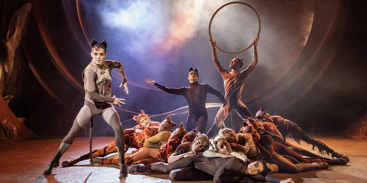 Jack Wilcox as Munkustrap poses dramatically, surrounded by cast members in vibrant costumes on stage.